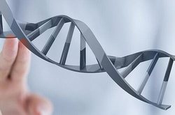 长沙开福区先领医药科技有限公司官网上线