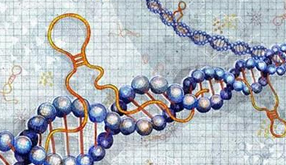 长沙开福区艾碧维生物科技有限公司官网正式上线